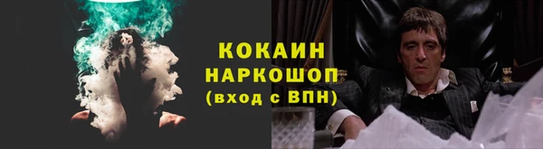 бошки Алексин