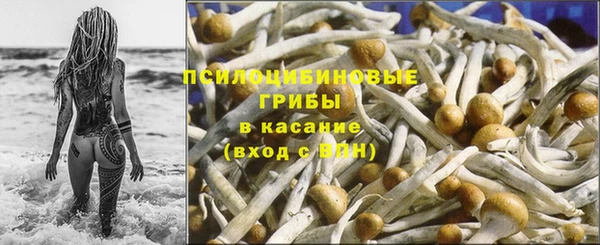 каннабис Алексеевка