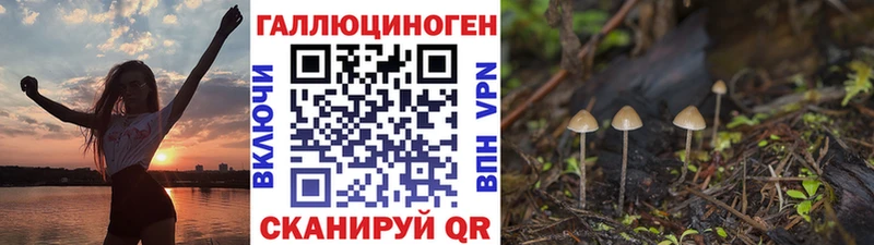 Галлюциногенные грибы MAGIC MUSHROOMS  Пенза 