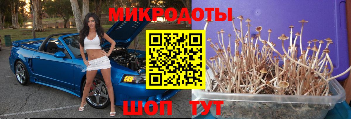 Псилоцибиновые грибы MAGIC MUSHROOMS  Вход с VPN  цена наркотик  Пенза 